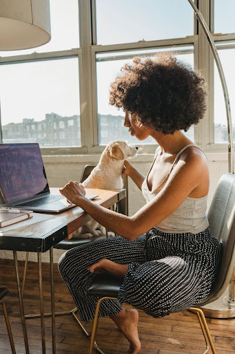 Black female freelancer using computer with dog